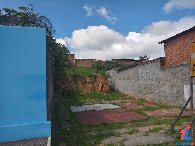 Terreno para Venda em Canguaretama - 4
