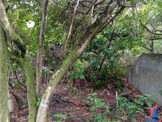 Terreno para Venda em Tibau do Sul - 5