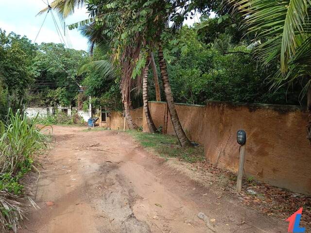 Terreno para Venda em Tibau do Sul - 4