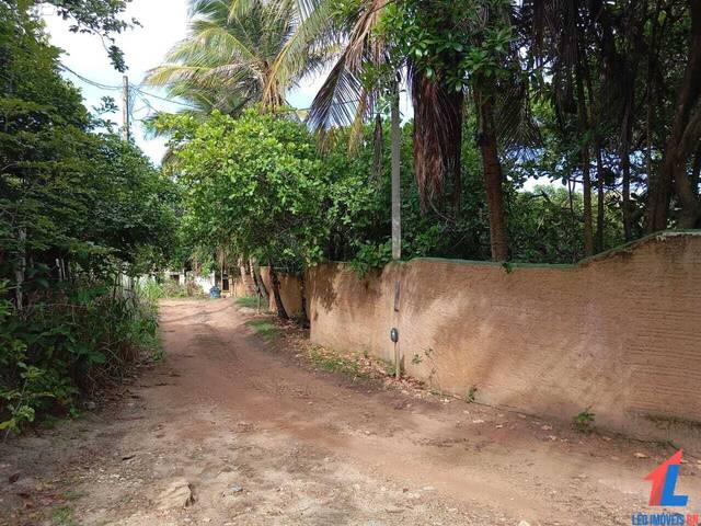 #T-113 - Terreno para Venda em Tibau do Sul - RN