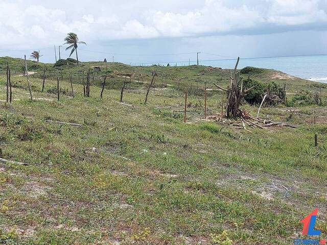 Terreno para Venda em Tibau do Sul - 4