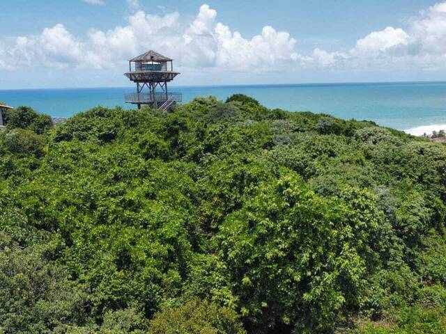 #T-127 - Terreno para Venda em Tibau do Sul - RN