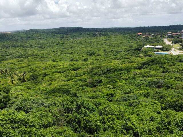 #T-127 - Terreno para Venda em Tibau do Sul - RN