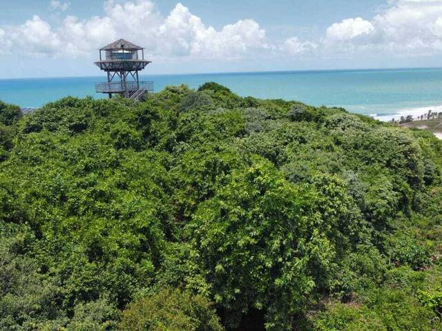 Terreno para Venda em Tibau do Sul - 5