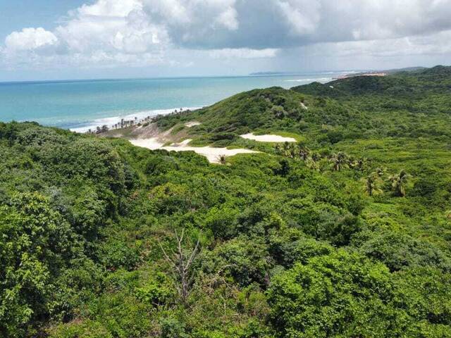 Terreno para Venda em Tibau do Sul - 4