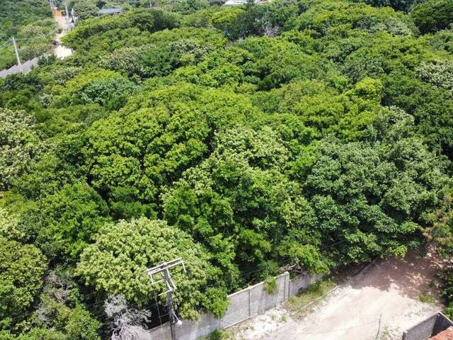 Terreno para Venda em Tibau do Sul - 4