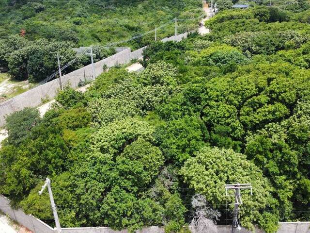 Terreno para Venda em Tibau do Sul - 5