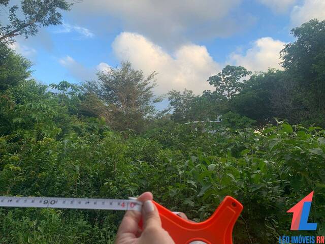 #T-129 - Terreno para Venda em Tibau do Sul - RN