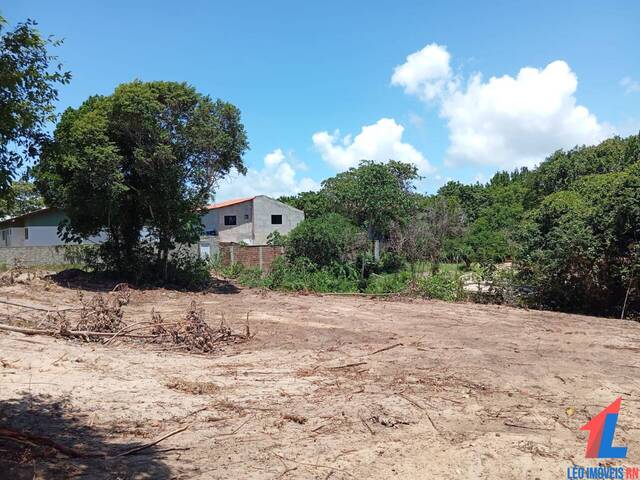 Terreno para Venda em Tibau do Sul - 5