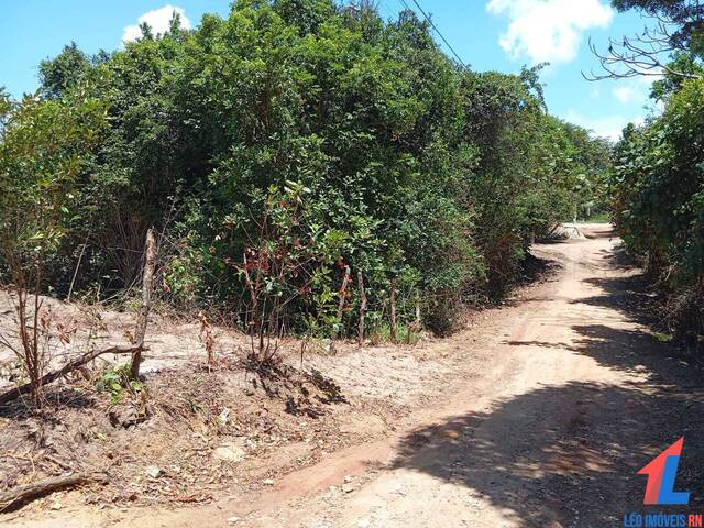 Terreno para Venda em Tibau do Sul - 4