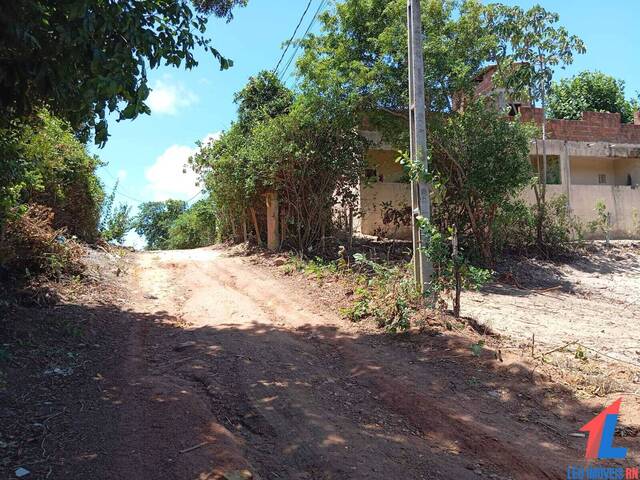 #T-515 - Terreno para Venda em Tibau do Sul - RN