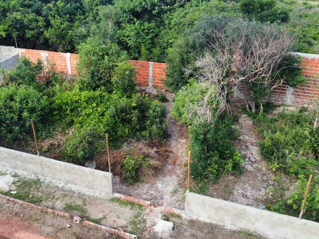 #T-431 - Terreno para Venda em Tibau do Sul - RN