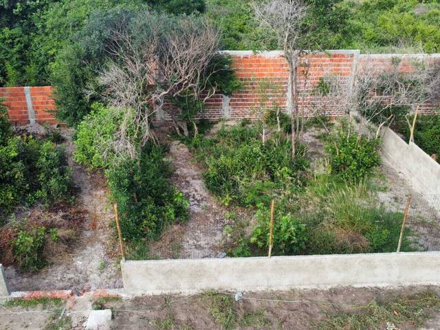 #T-431 - Terreno para Venda em Tibau do Sul - RN