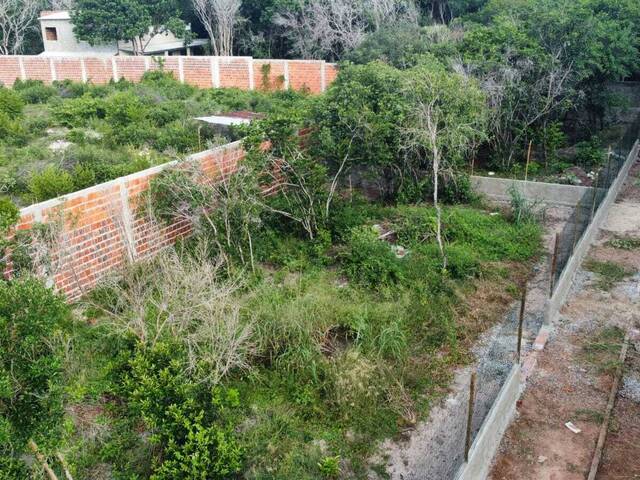 Terreno para Venda em Tibau do Sul - 4