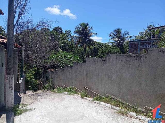 Terreno para Venda em Tibau do Sul - 4