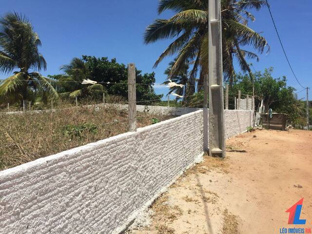 #T-156 - Terreno para Venda em Tibau do Sul - RN