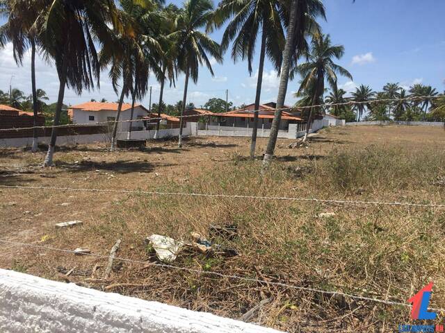 Terreno para Venda em Tibau do Sul - 5