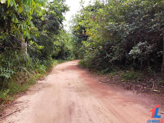 #T-145 - Terreno para Venda em Tibau do Sul - RN