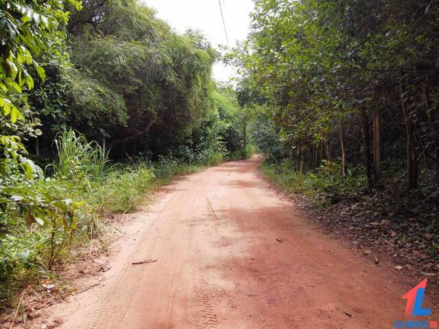 Terreno para Venda em Tibau do Sul - 4