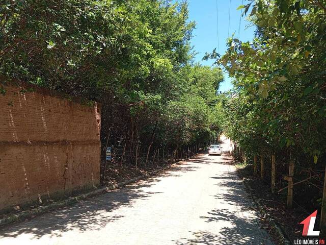 #T-281 - Terreno para Venda em Tibau do Sul - RN