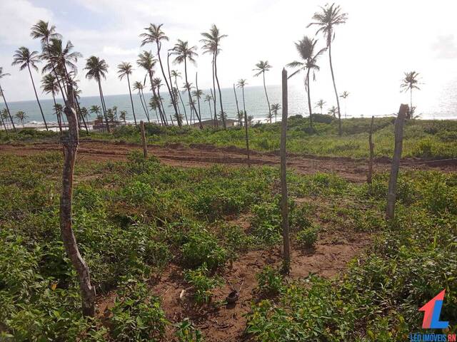 Terreno para Venda em Canguaretama - 4