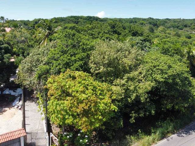#T-170 - Terreno para Venda em Tibau do Sul - RN