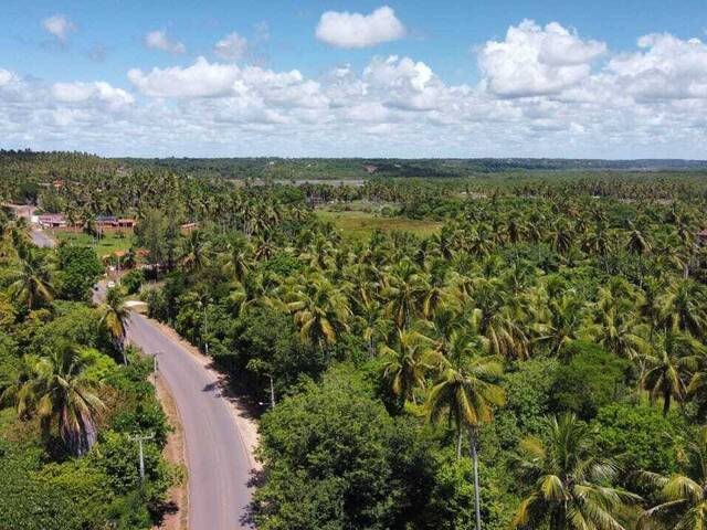 Terreno para Venda em Tibau do Sul - 2