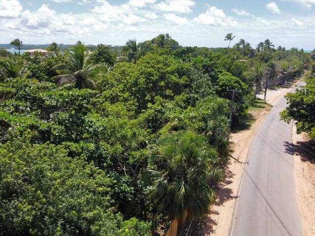 Terreno para Venda em Tibau do Sul - 4