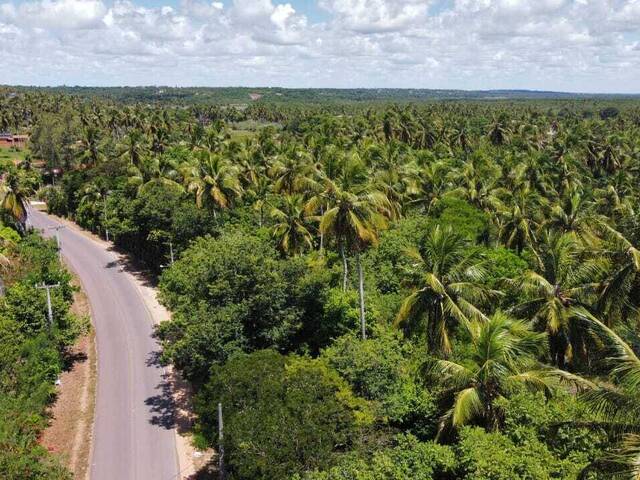 Terreno para Venda em Tibau do Sul - 3