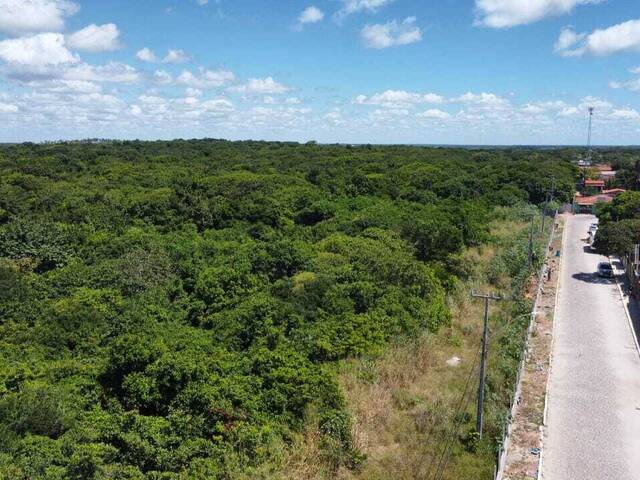 Terreno para Venda em Tibau do Sul - 2