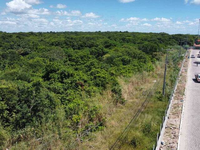 Venda em Cacimbinhas - Tibau do Sul