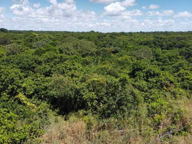 Terreno para Venda em Tibau do Sul - 3