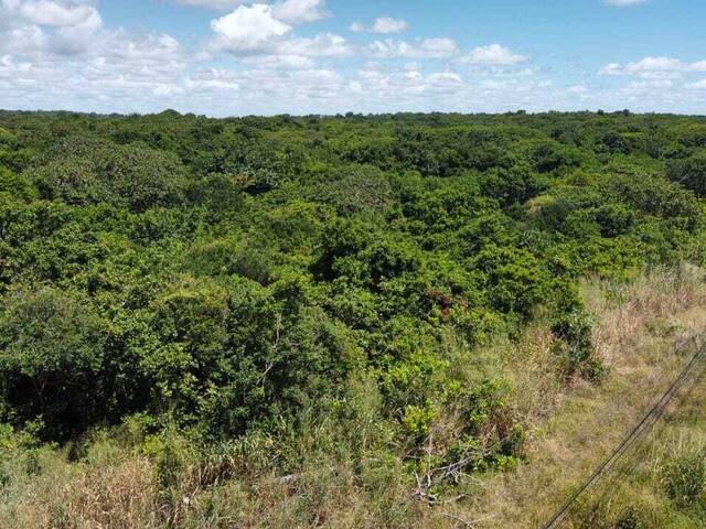 Terreno para Venda em Tibau do Sul - 4