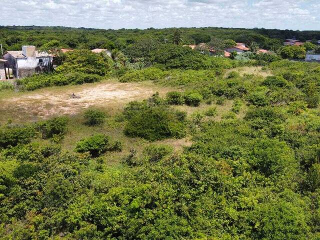 Terreno para Venda em Tibau do Sul - 4