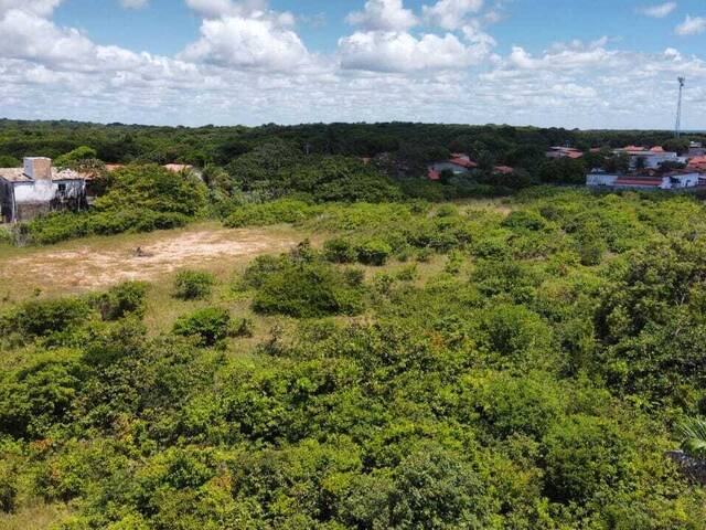 Terreno para Venda em Tibau do Sul - 5