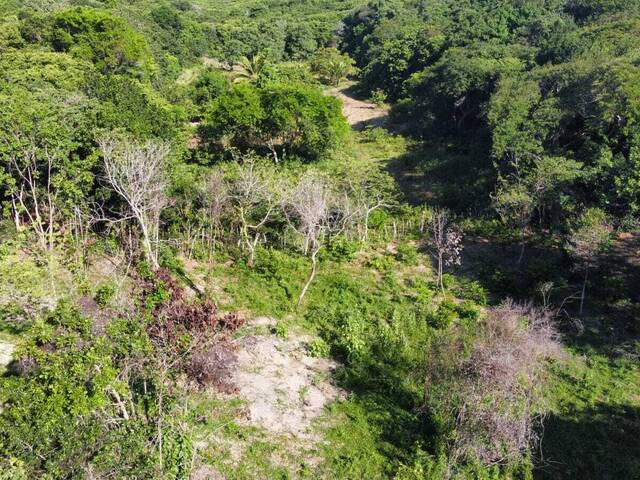 Terreno para Venda em Tibau do Sul - 4