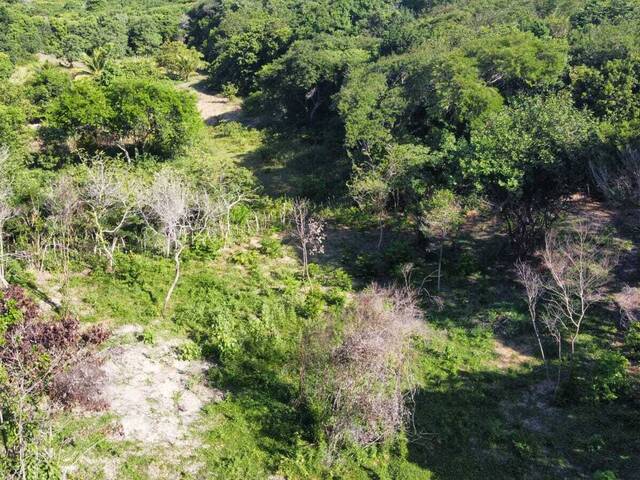 #T-462 - Terreno para Venda em Tibau do Sul - RN