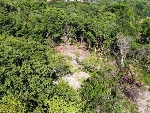 Terreno para Venda em Tibau do Sul - 5