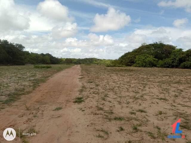 #T - 151 - Chácara para Venda em Vila Flor - RN