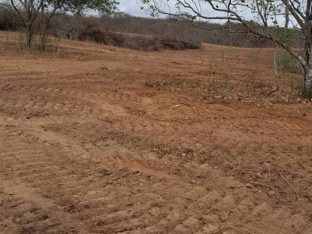 #T - 151 - Chácara para Venda em Vila Flor - RN