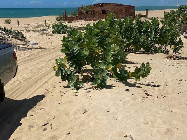 Venda em Galinhos - Galinhos