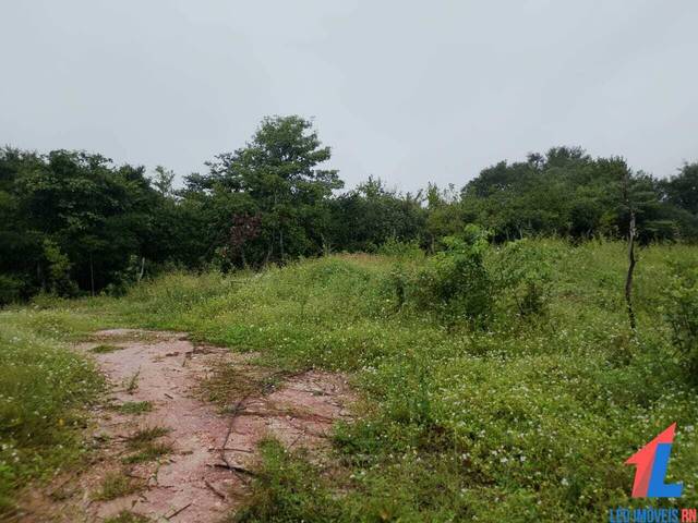 Terreno para Venda em Tibau do Sul - 4