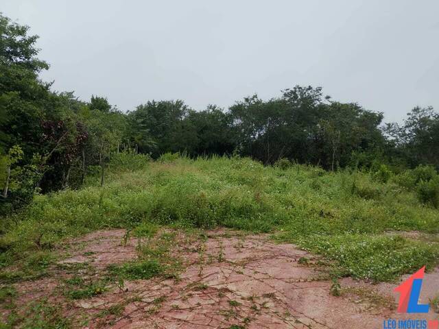 #T-497 - Terreno para Venda em Tibau do Sul - RN