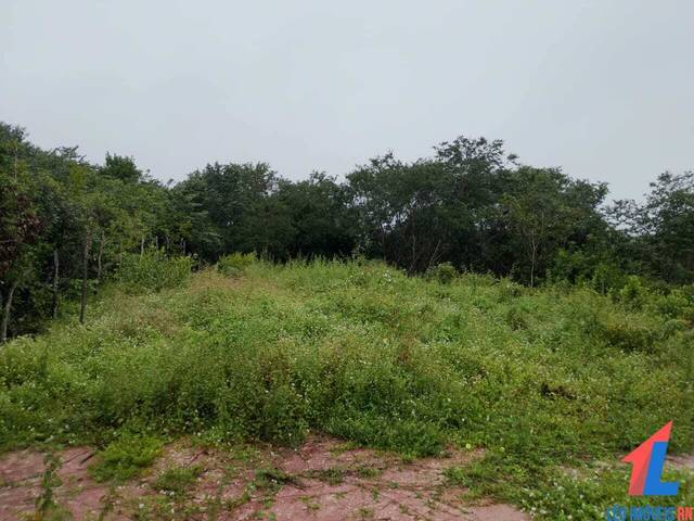 Terreno para Venda em Tibau do Sul - 5