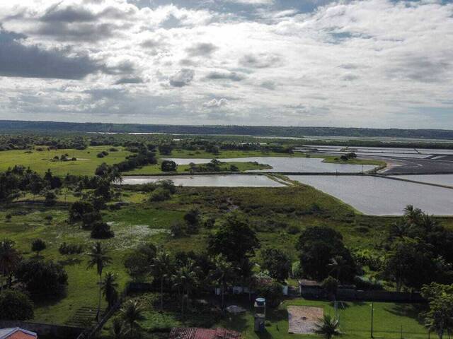 Terreno para Venda em Tibau do Sul - 4