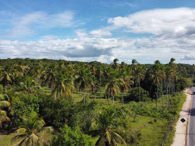 #T-502 - Terreno para Venda em Tibau do Sul - RN