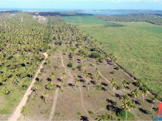 #T-352 - Terreno para Venda em Senador Georgino Avelino - RN