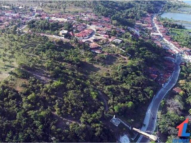 #T-352 - Terreno para Venda em Senador Georgino Avelino - RN