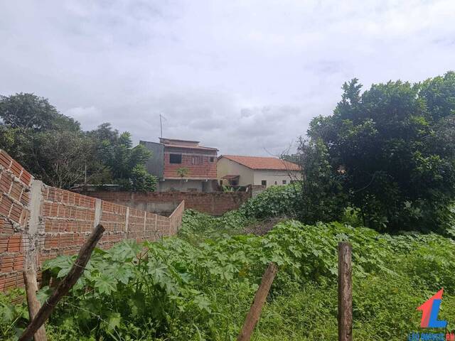 Terreno para Venda em Tibau do Sul - 5