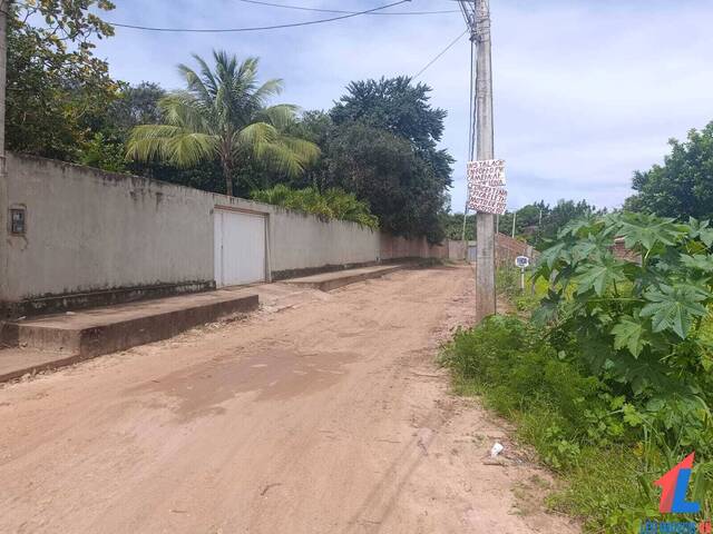 Terreno para Venda em Tibau do Sul - 4